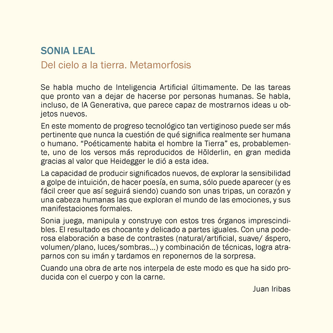 Texto-Juan_SD