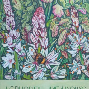 Asphodel Meadows