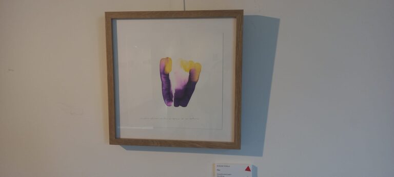 Proyecto_Glocal_Territorios_Papel_01